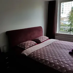 https://sunny-guesthouse.amsterdamhotelsnl.com